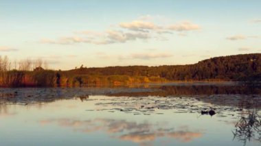 Zaman aşımı. Gölün sessiz yüzeyi. Su yosunlu gölet. Hava kararıyor. Kümülüs bulutları gökyüzünde hareket ediyor. Gökyüzü su ile aynalıdır. Günbatımının parlak ve farklı renkleri.