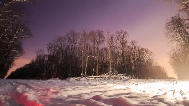 Zeitraffer. Nacht im Winterwald. Viel Schnee. — Stockvideo