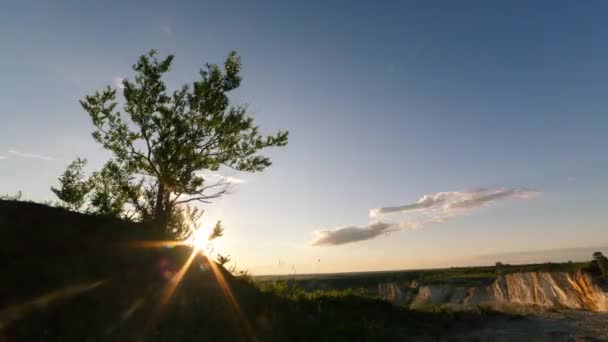 Tiden Går Silhuetten Ett Träd Mot Bakgrund Gyllene Solnedgång Solen — Stockvideo