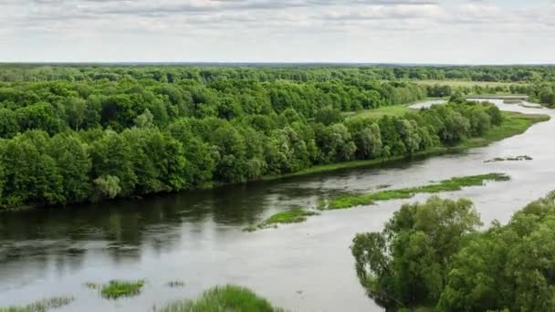 Проміжок часу 4k. Річкова долина, оточена зеленим лісом . — стокове відео