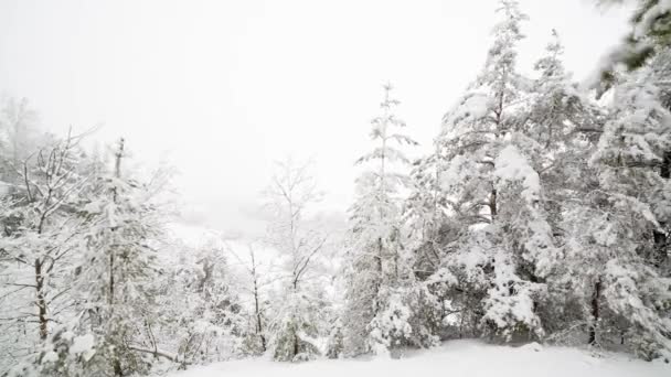 El tiempo se agota en 4k. Saltos de nieve sobre un bosque cubierto de nieve. — Vídeos de Stock