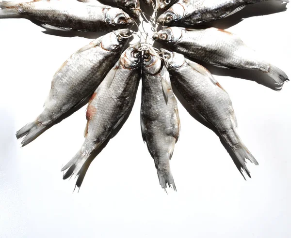 Dried fish lies in a semicircle with their heads towards each other. Beer snack fish dried fish.