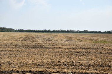 Tarladan buğday toplandı ve tarla sürülmeye hazırlandı..