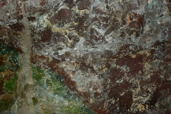 Üç renkli bir kedi kır yolu boyunca kendi kendine yürür. Kahverengi, siyah ve beyaz bir kedi kumlu zeminde tek başına yürüyor..