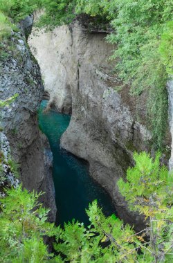 Kayaların arasında bir dağ nehri akıyor. Nehrin suları kayalara çarpıyor ve hızla akan bir dereye doğru koşuyor..