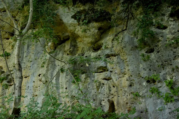 在高高的岩石中 峡谷中流淌着一条蓝色的山河 岩石上长满了森林 形成了一幅风景如画的风景 — 图库照片