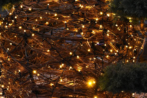 Die Girlande Weihnachtsbaum Funkelt Mit Lichtern Die Girlande Wird Gartenbau — Stockfoto