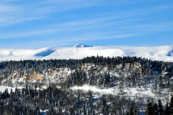Una Pintoresca Vista Las Montañas Cubiertas Bosque Cubiertas Nieve Paisaje —  Fotos de Stock