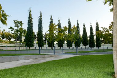 Güzel peyzajı olan modern bir park. Sütun biçimli ağaçlar bir sırada dikilir, güzel bir ara sokakta..