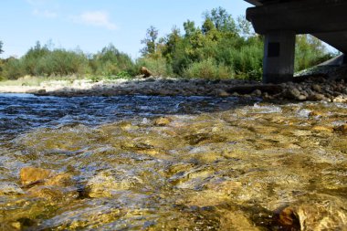 Nehir taşların üzerinden akar, büyük bir köprünün altından. Köprünün bir beton yığını suyun içinde. Nehirdeki su temiz, her yer sığ..
