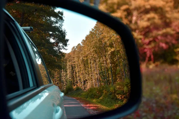 The autumn forest is reflected in the side mirror of the car. Bright, multi-colored leaves adorn the autumn forest.