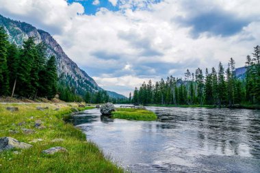 Montana 'daki Yellowstone Ulusal Parkı' nın bir kısmından geçen Firehole Nehri..