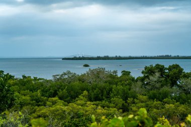 Emerson Point Konservesi ve Tampa Körfezi üzerinde güzel bir gün batımı..