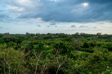 Emerson Point Konservesi ve Tampa Körfezi üzerinde güzel bir gün batımı..