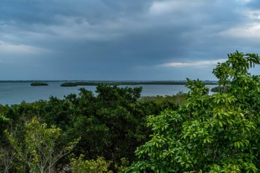 Emerson Point Konservesi ve Tampa Körfezi üzerinde güzel bir gün batımı..