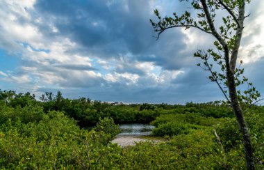 Emerson Point Konservesi ve Tampa Körfezi üzerinde güzel bir gün batımı..