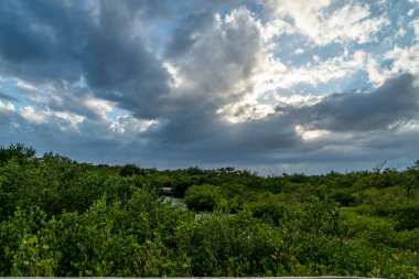 Emerson Point Konservesi ve Tampa Körfezi üzerinde güzel bir gün batımı..