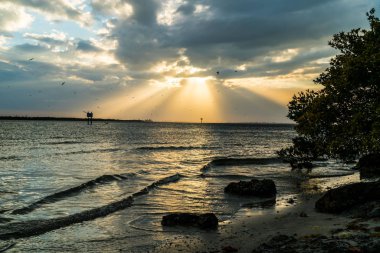 Emerson Point Konservesi ve Tampa Körfezi üzerinde güzel bir gün batımı..