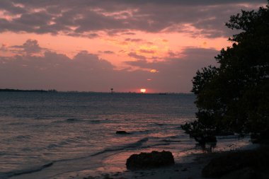 Emerson Point Konservesi ve Tampa Körfezi üzerinde güzel bir gün batımı..