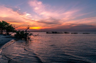 Florida 'nın batısındaki Tampa Körfezi üzerinde güzel bir günbatımı
