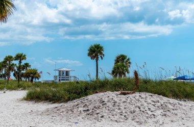 Tampa Florida 'daki Cypress Point Parkı' nda bir gün..