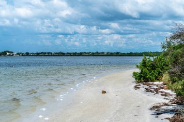 Tampa Florida 'daki Cypress Point Parkı' nda bir gün..