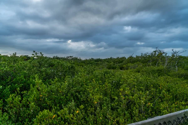 Pohled Kolem Emerson Point Preserve Krásný Západ Slunce Nad Tampa — Stock fotografie