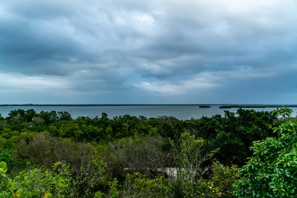 Pohled Kolem Emerson Point Preserve Krásný Západ Slunce Nad Tampa — Stock fotografie