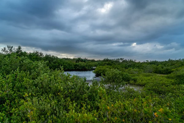 Olhar Redor Emerson Point Preserve Belo Pôr Sol Sobre Tampa — Fotografia de Stock
