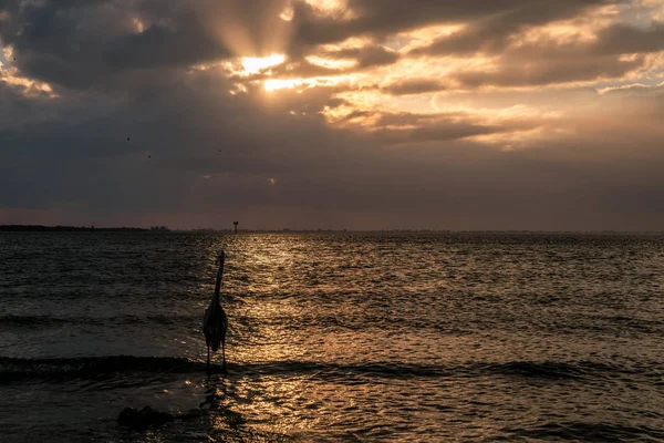 环视爱默生角保护区和坦帕湾美丽的落日 — 图库照片