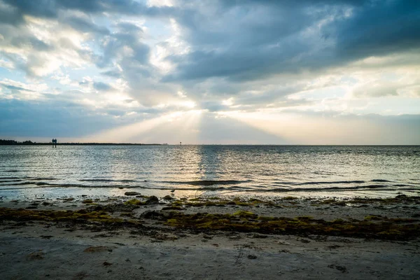 Regard Autour Emerson Point Preserve Magnifique Coucher Soleil Sur Tampa — Photo