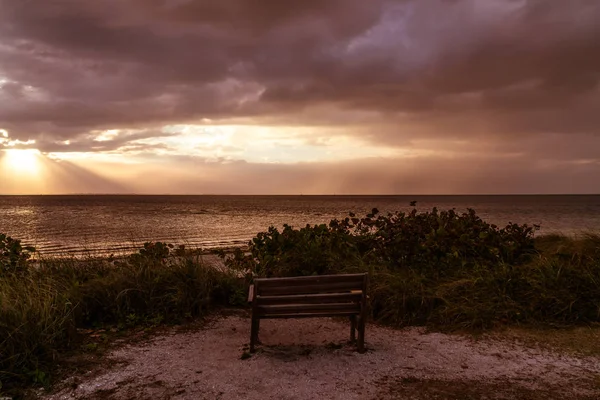 Egy Pillantás Emerson Point Rezervátumra Egy Gyönyörű Naplemente Tampa Bay — Stock Fotó