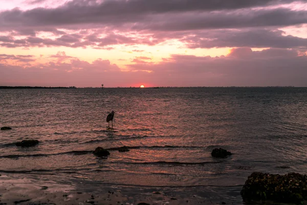 环视爱默生角保护区和坦帕湾美丽的落日 — 图库照片