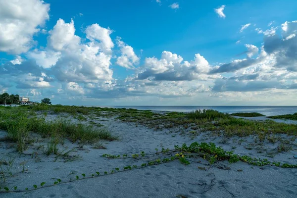 Egy Nap Cypress Point Parkban Tampa Floridában — Stock Fotó