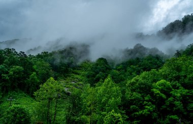 Chimney Kayası 'nda yağmurlu bir gün bulutları alçaktan sarkıtıyor.