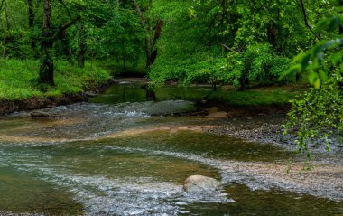 Göl boyunca uzanan efsanevi Broad Nehri ve Kuzey Carolina 'daki Chimney Rock.