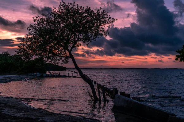 Csodálatos Naplemente Tampa Bay Felett Ezen Hűvös Őszi Estén — Stock Fotó