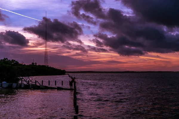 Pôr Sol Incrível Sobre Tampa Bay Nesta Noite Outono Legal — Fotografia de Stock