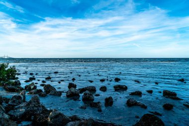 Florida 'nın batısındaki Terra Ceia Su Koruma Alanı' nın muhteşem güzelliği..