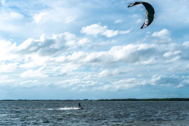 Florida 'nın batısındaki Terra Ceia Su Koruma Alanı' nın muhteşem güzelliği..