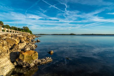 Florida 'nın batısındaki Terra Ceia Su Koruma Alanı' nın muhteşem güzelliği..