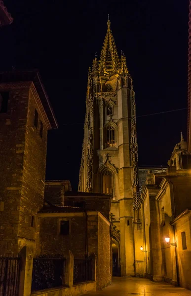 Die Kathedrale Von San Salvador Oviedo Spanien Hat Mehrere Architekturstile — Stockfoto