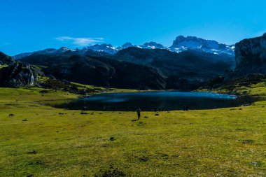 Kuzeydeki Asturias ilindeki Covadonga İspanya 'nın buzuldan oluşmuş gölleri ve dağları.