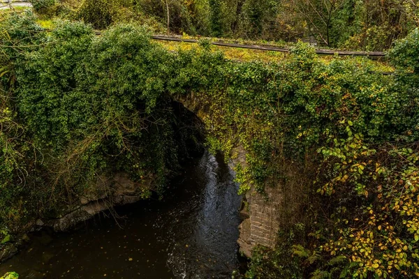 Old Romanesque Bridge Longer Use Covered Trees Shrubs — Stock Photo, Image