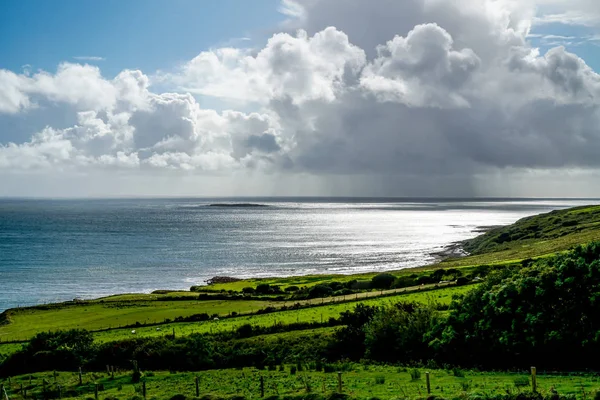 Όμορφα Πράσινα Χόρτα Της Ιρλανδίας Έρχονται Αντίθεση Γαλάζια Νερά Του — Φωτογραφία Αρχείου