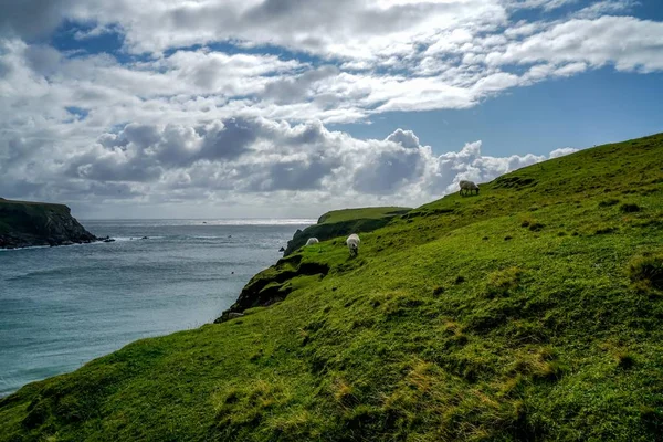 Una Splendida Spiaggia Forma Mezzaluna Glencolmcille Irlanda — Foto Stock