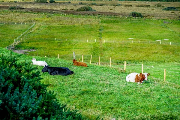 Una Mirada Increíble Paisaje Del Condado Donegal Noroeste Irlanda —  Fotos de Stock