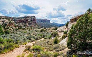 Colorado Ulusal Anıt Parkı şimdiye kadar gördüğüm en inanılmaz kaya oluşumlarına sahip..