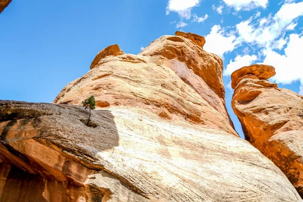 Colorado National Monument Park Tem Algumas Das Formações Rochosas Mais — Fotografia de Stock