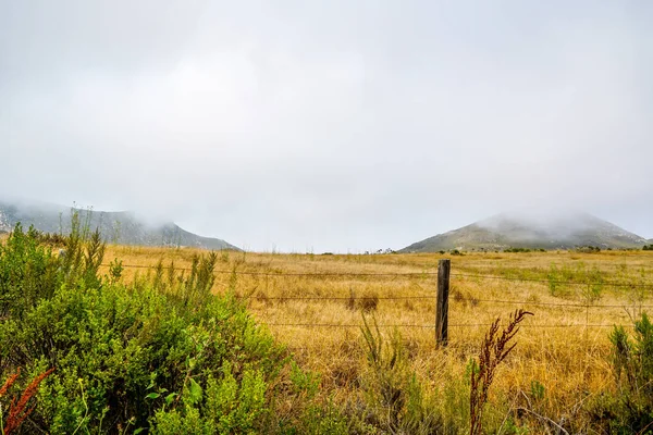 Increíble Paisaje Del Norte California — Foto de Stock